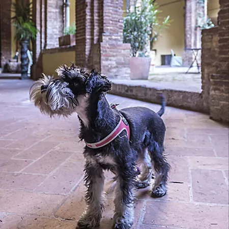 Il Chiostro Del Carmine Hotel