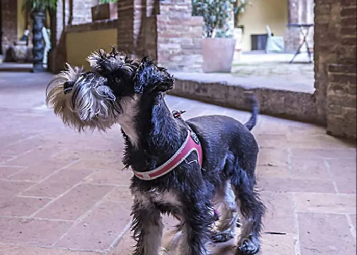 Il Chiostro Del Carmine Hotel